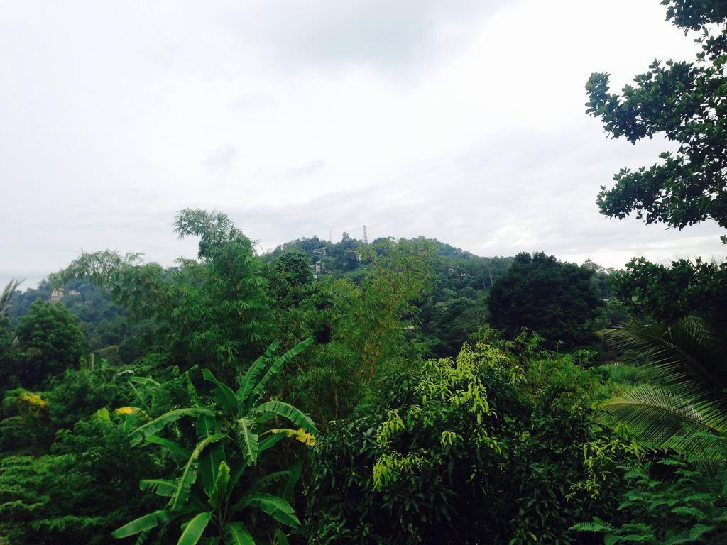 Vin Roma Inn Kandy Dış mekan fotoğraf